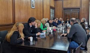 Estatales paritarias 0%