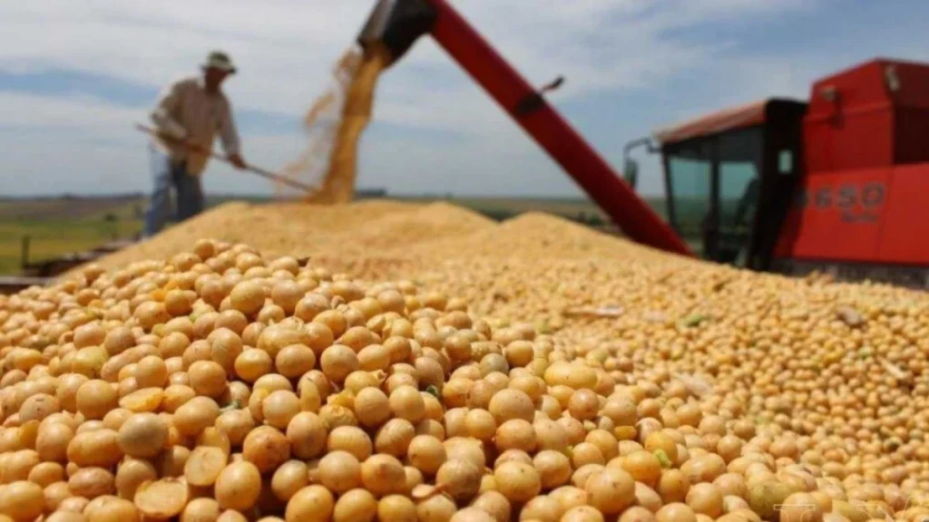 Decreto 439/25: Retenciones, Campo y Garrote Fiscal, Boletin Oficial