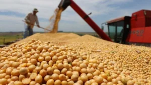 Decreto 439/25: Retenciones, Campo y Garrote Fiscal, Boletin Oficial