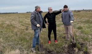 Parque Industrial Castelli