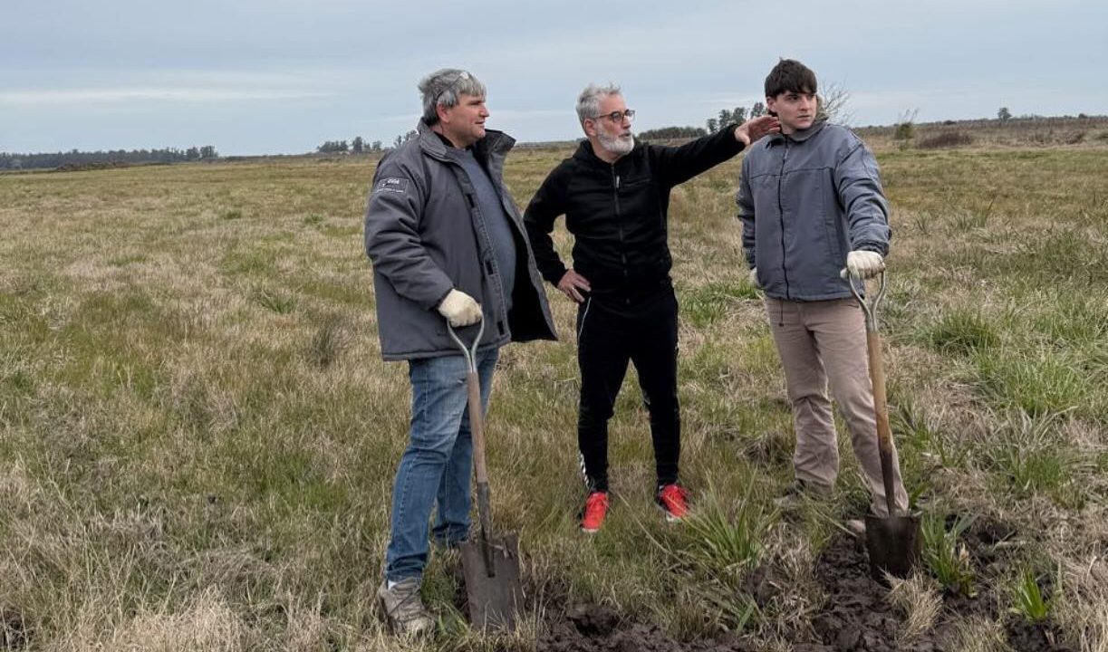 Parque Industrial Castelli