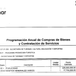 Pinamar gastos publicidad