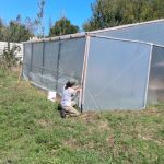 Pavón suma un nuevo espacio de cultivo