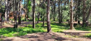 Estafa con lotes en costa del este