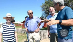 Natalizia advirtió por el avance del mar en La Costa “Hay que dejar de impactar negativamente”