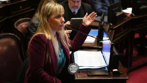 Blindaje fiscal: Di Tullio busca derogar la Ley 27.799